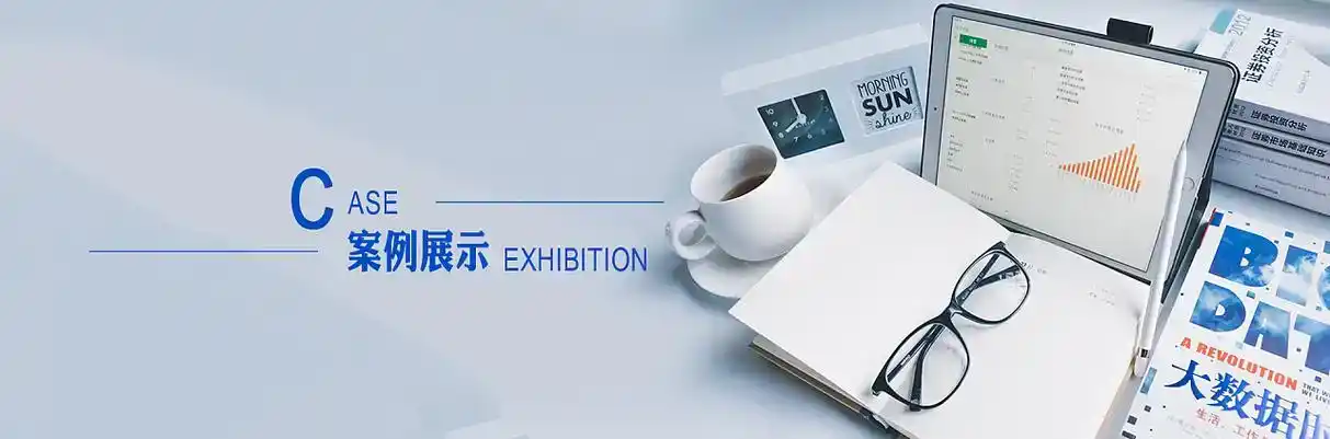 高阳县软件开发